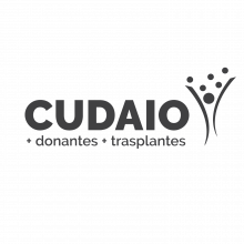 CUDAIO